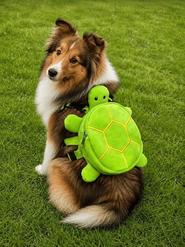 Orvenda turtle shaped pet - orvenda,
